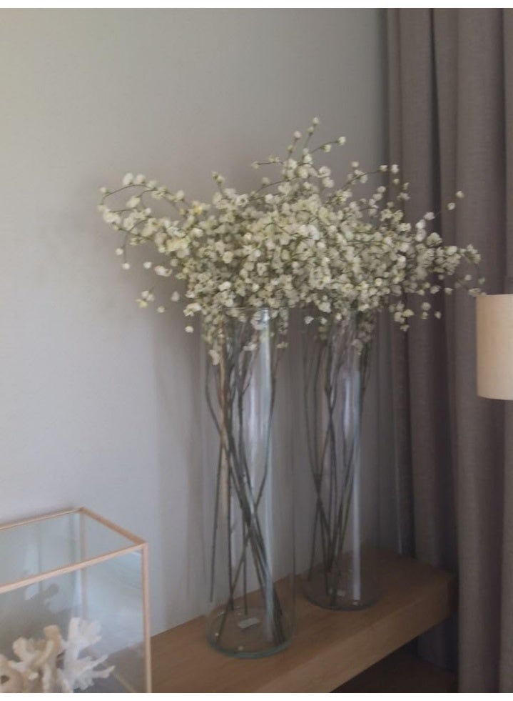 Tall Cylinder Glass Vase, Set of 2, Clear, for Flowers and Aquatic Plants, Height 40cm - Image 2